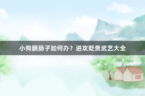 小狗翻肠子如何办？进攻贬责武艺大全